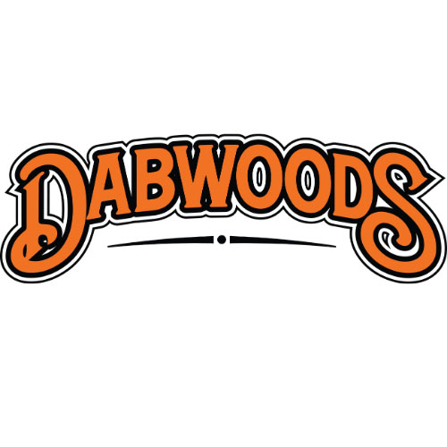 Company Logo 4