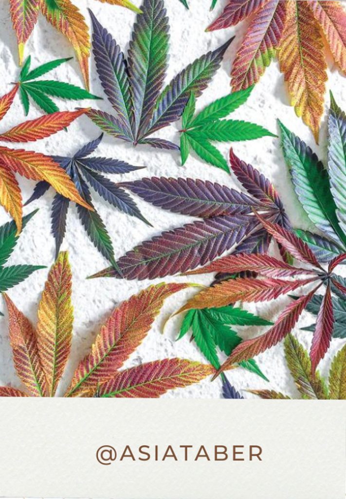 Cannabis Store South Gate, CA & Monterey Park, CA, Marijuana Dispensary