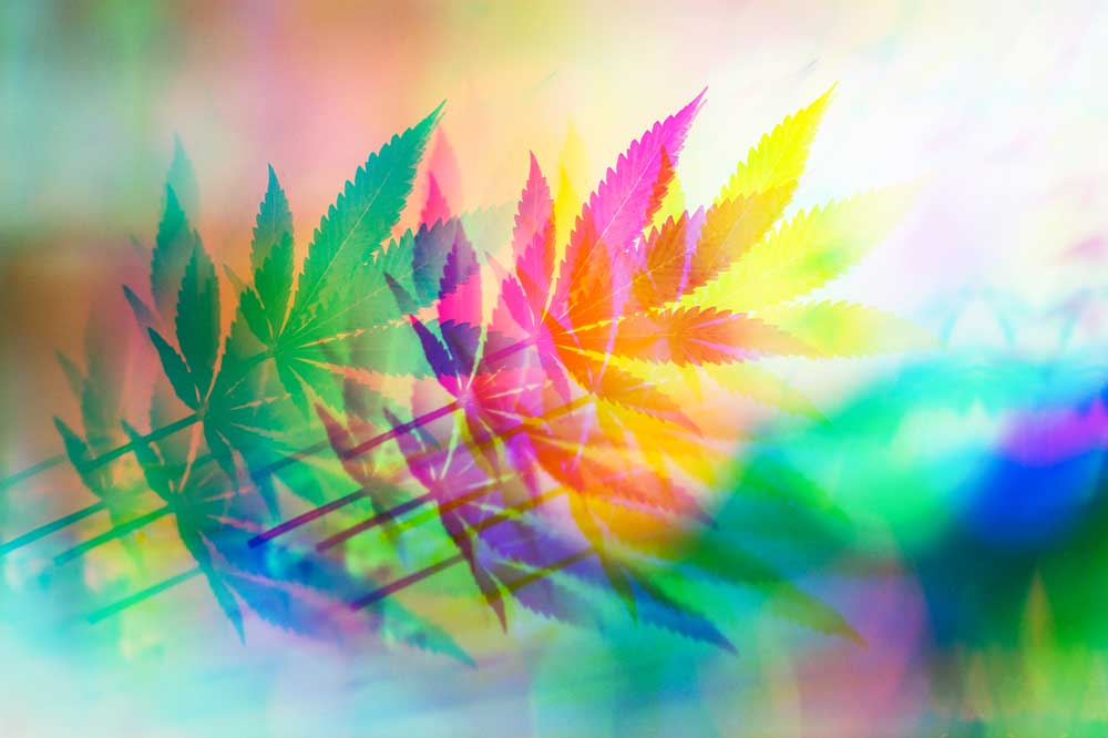 cannabis leaf psychedelic